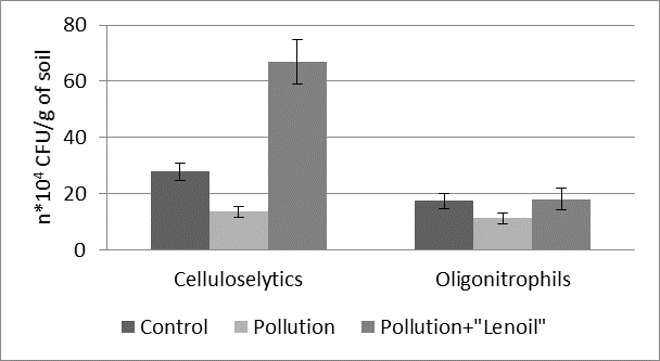 The number of cellulosolytic and oligonitrophilic microorganisms in the rhizosphere of plants Medicago sativa L. under the influence of oil pollution and bioremediation with the preparation "Lenoil"