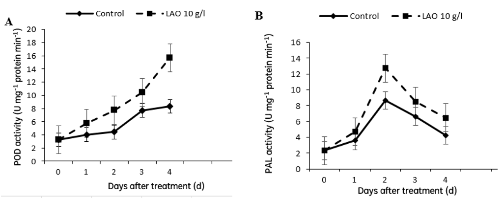 Effect of LAO (10 g/l) on the activity of POD (A), and PAL (B) in potato tubers inoculated with A. alternata mycelium during (0-4 days) after treatment