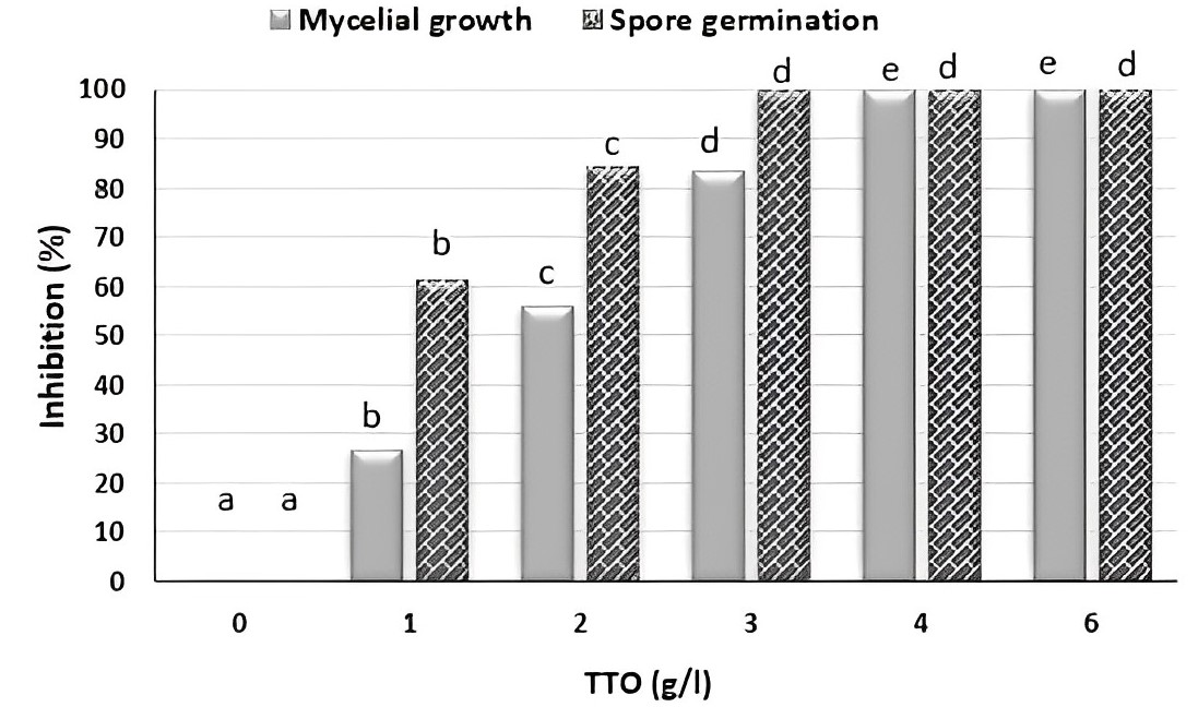 Effect of TTO different concentrations on inhibition of mycelial growth and spore germination of A. alternata