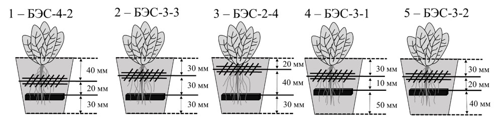 Схематичное представление экспериментальных БЭС с различным расположением электродов в корнеобитаемой среде