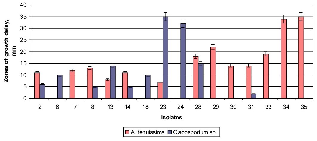 Isolates antifungal activity against hyphal microfungi of Alternaria tenuissima and Cladosporium sp.