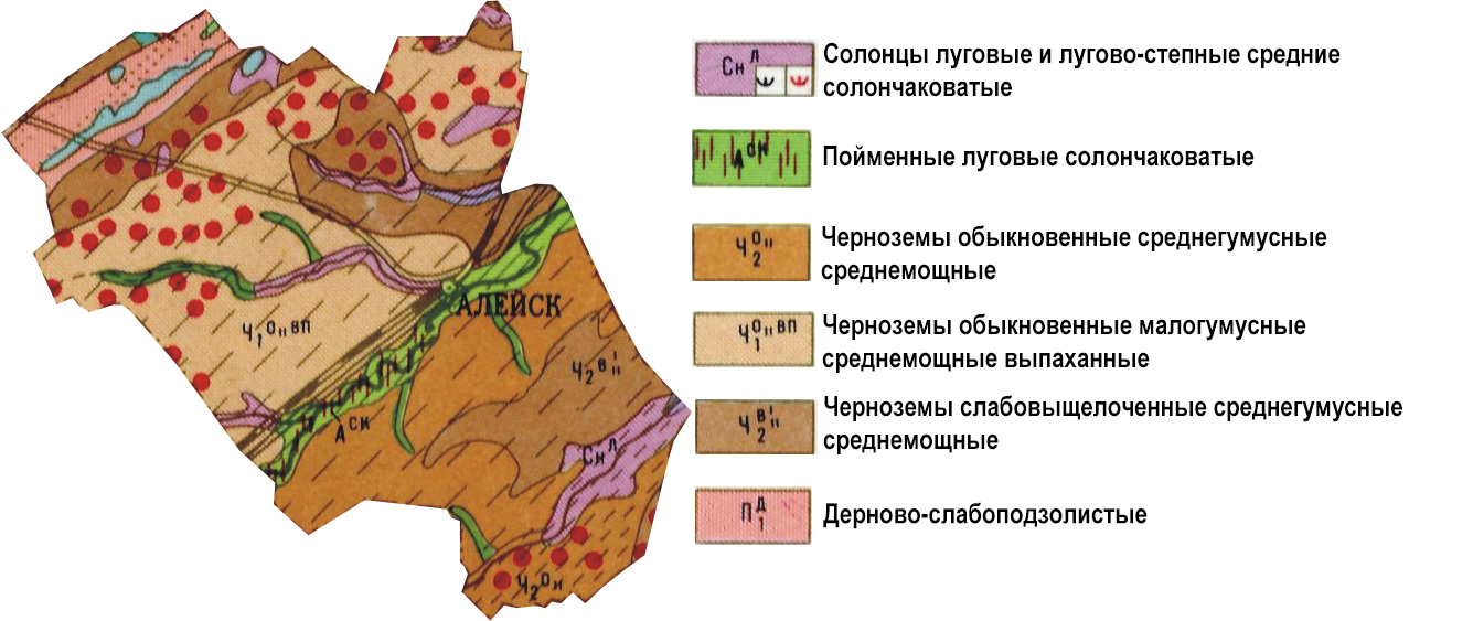 Генерализованная картограмма почв на территорию Алейского района
