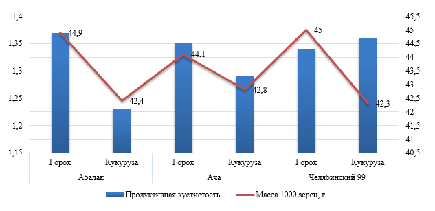 Влияние предшественников на продуктивную кустистость и массу 1000 зерен, 2014-2017 гг