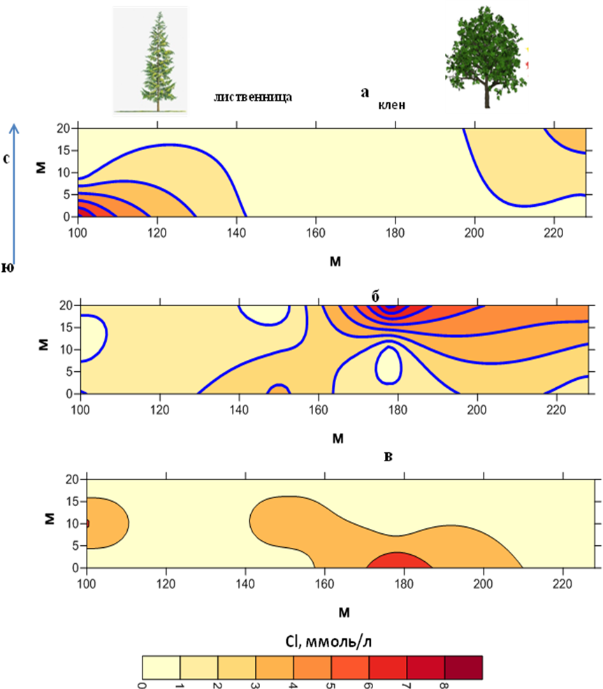 Содержание хлоридов под древесными культурами: а - горизонт почвы 280-300 см; б - горизонт 220-240 см; в - горизонт 0-20 см