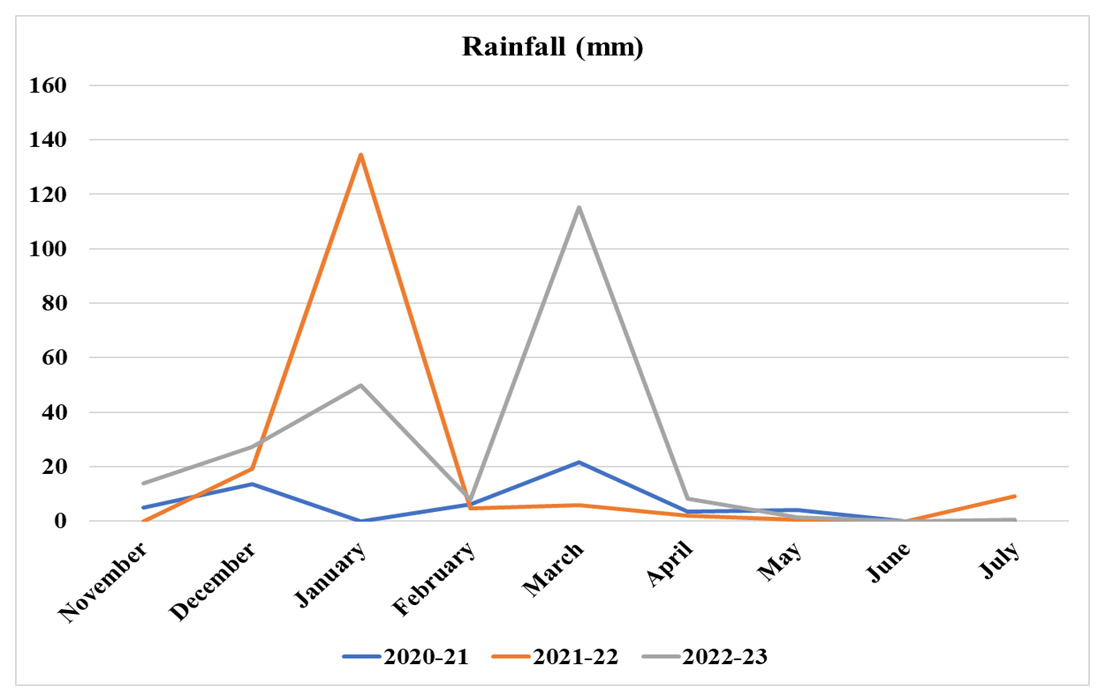 Agrometeorological data when conducting experiments on the territory of Afghanistan National Agriculture Science and Technology University, Kandahar in 2021–2023 (rainfall)