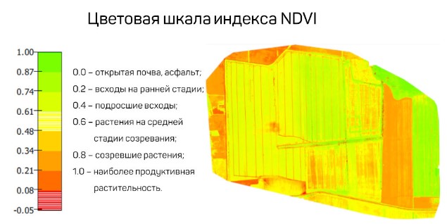 Цветовая шкала индекса NDVI