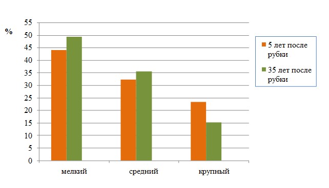 Категории крупности подроста ели