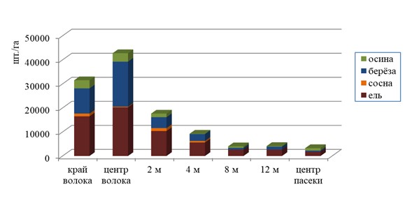 Подрост на 35-летней вырубке