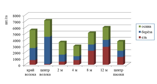 Подрост на 5-летней вырубке