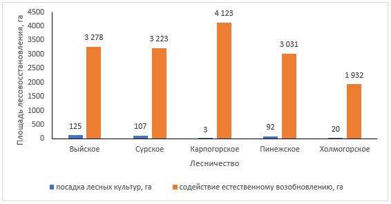 Сведения об использовании лесов в бассейне р. Пинега