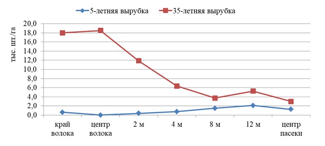  Густота жизнеспособного подроста хвойных пород