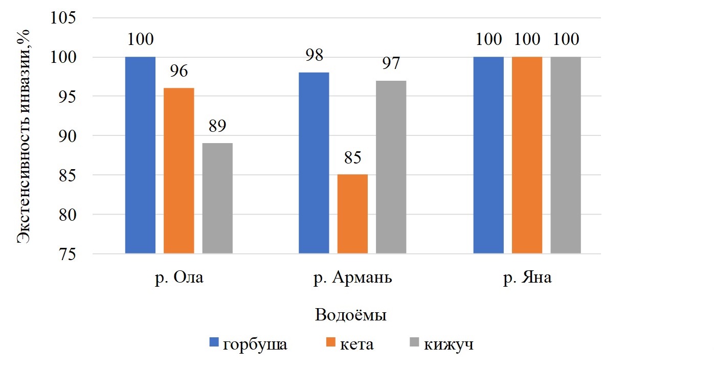 Заражённость аэромонозом проходных лососёвых рыб на естественных нерестилищах