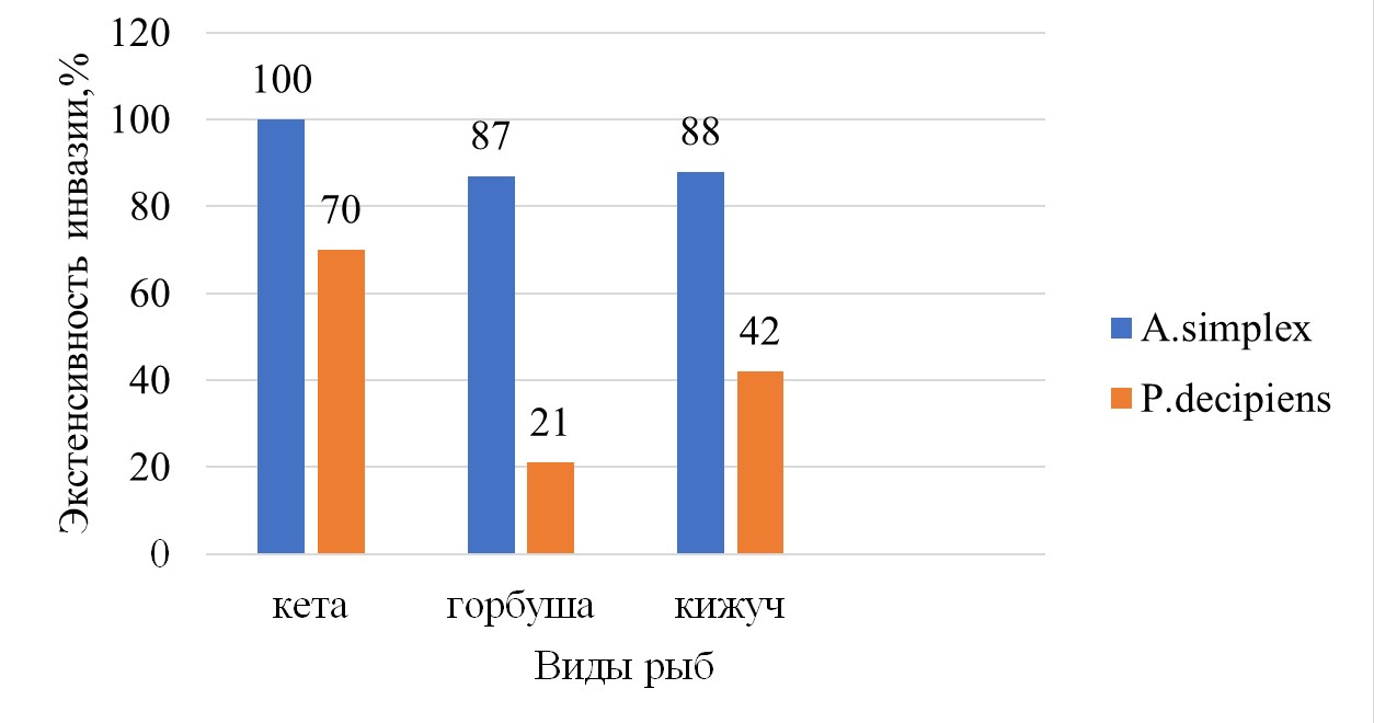 Заражённость морской рыбы личинками A. simplex, P. Decipiens