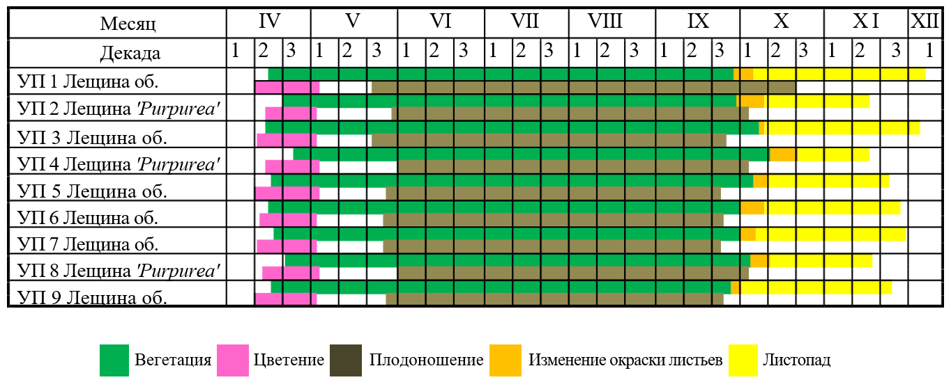 Фенологическое развитие Corylus avellana L. в условиях г. Брянска