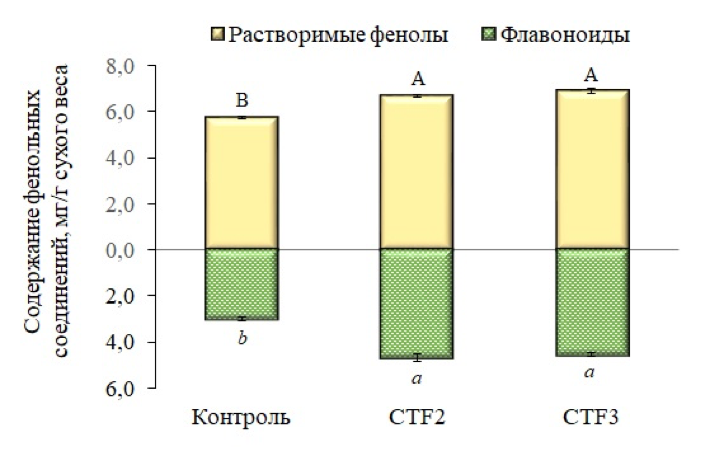 Содержание растворимых фенолов и флавоноидов в листьях пшеницы