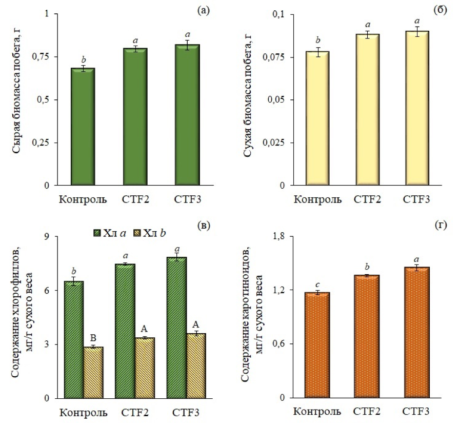 Сырая биомасса (а), сухая биомасса (б) побега, содержание хлорофиллов (в) и каротиноидов (г) в листьях пшеницы