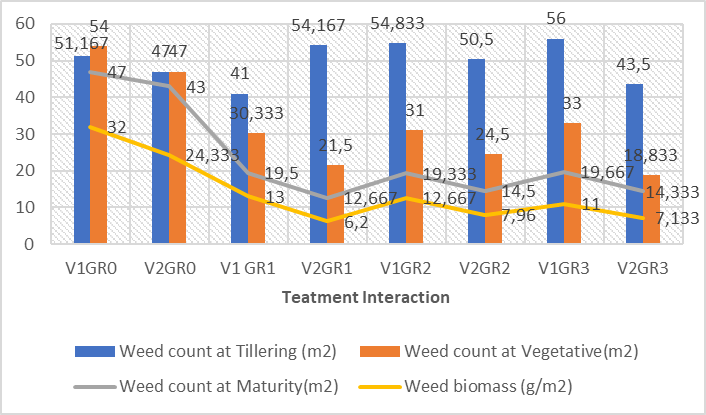 Interaction effect of GR and wheat varieties on weed parameters