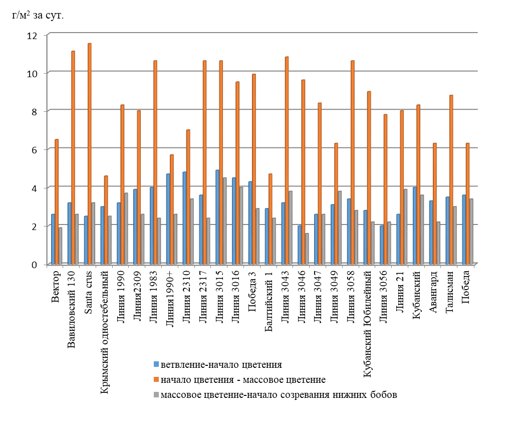 Чистая продуктивность фотосинтеза по фазам вегетации