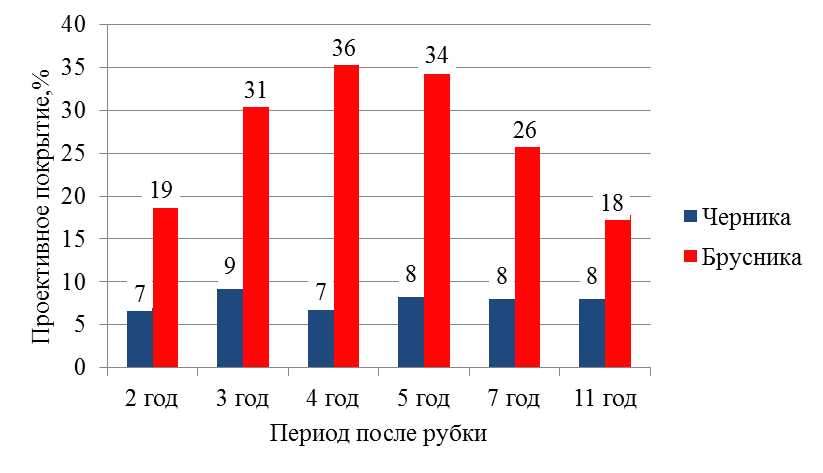 Среднее проективное покрытие черники и брусники на вырубочной опушке