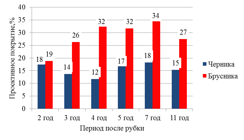 Среднее проективное покрытие черники и брусники на лесной опушке