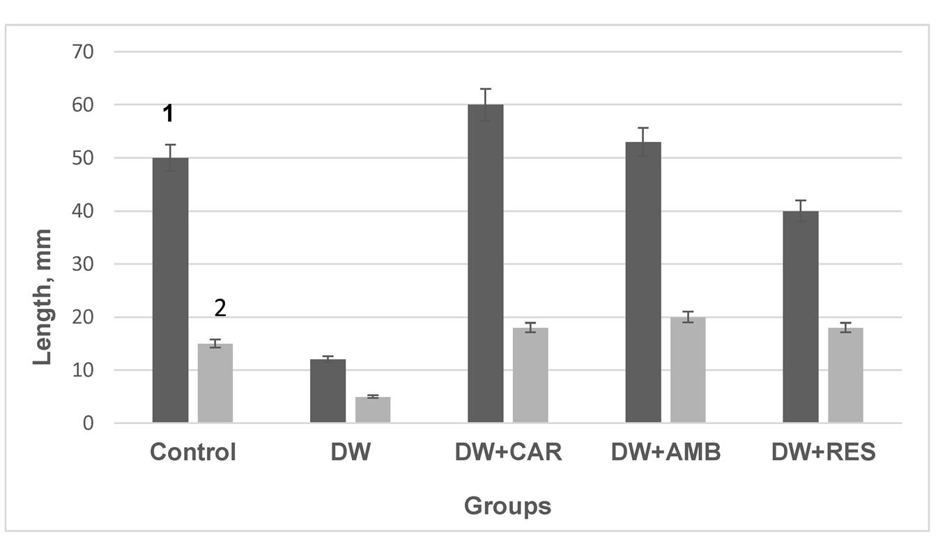  Effect of water scarcity, CAR, AMB, and RES on pea seedling shoot (1) and root (2) growth