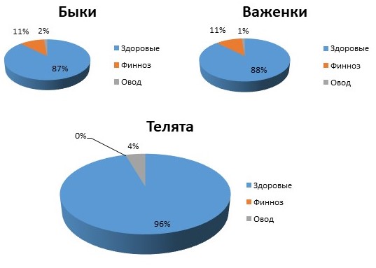 Диаграмма степени поражённости быков, важенок и телят оводом и финнозом в процентном отношении к здоровым особям
