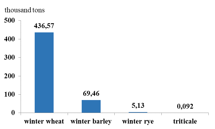 Gross harvest of winter crops in 2024 in the Kaliningrad region