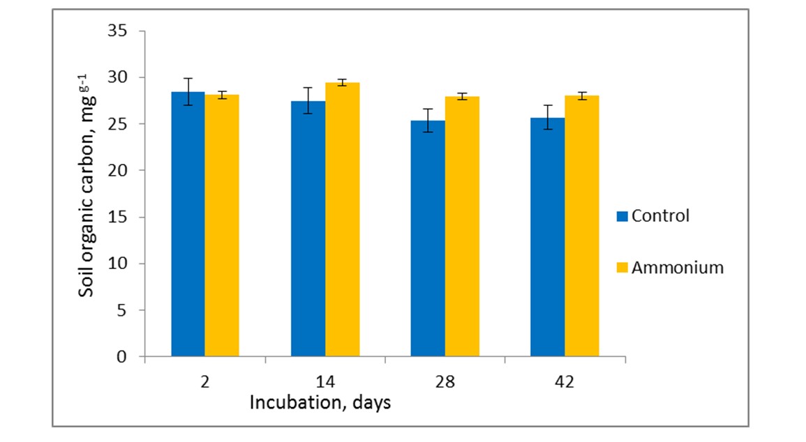 Dynamics of active organic C content during incubation experiment