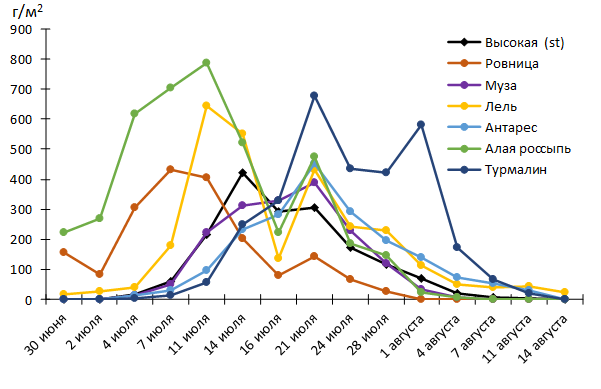Динамика формирования урожайности плодов сортами малины в 2025 г.