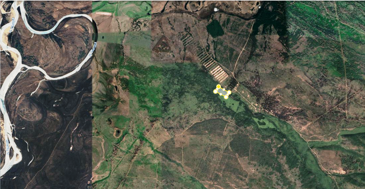 Место сбора материалов на территории Ингодинского лесного стационара ИПРЭК СО РАН