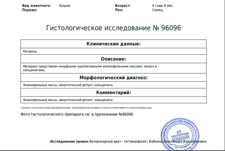 Результаты гистологического исследования патологического материала