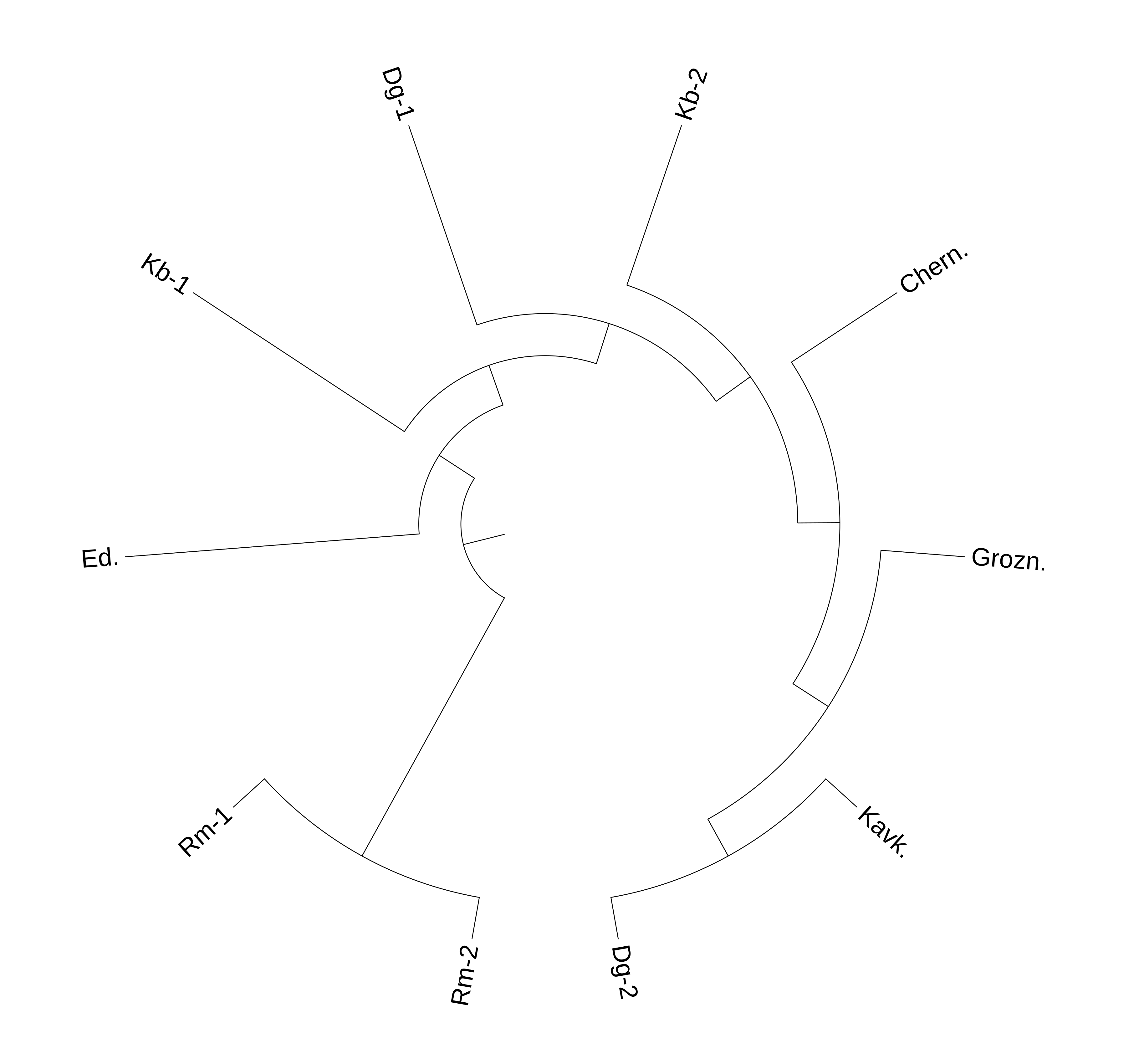 Круговая дендрограмма на основе генетического расстояния между популяциями