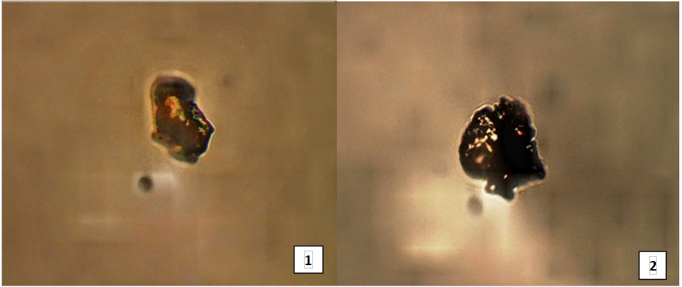Microscopic analysis for SCG’s average particle size determination using 100X/0.8 (Micromed Polar-1)