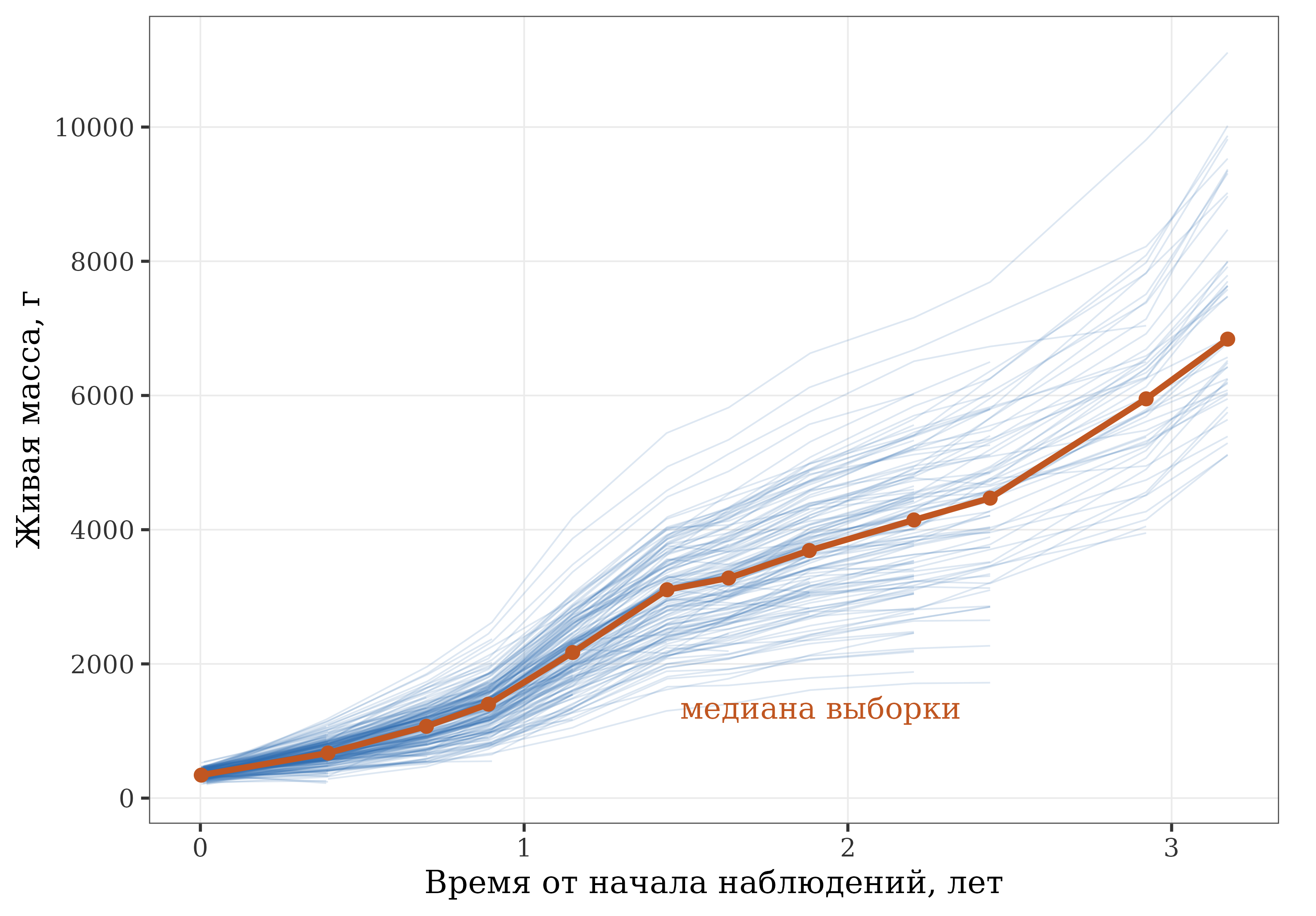 Индивидуальные траектории живой массы сибирского осетра (386 особей) и медиана выборки по бонитировкам